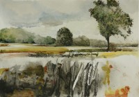 drentsche aa  drentsche aa